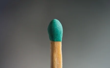 Materie prime critiche, ENEA: presentato il database del fosforo come strumento per l’economia circolare