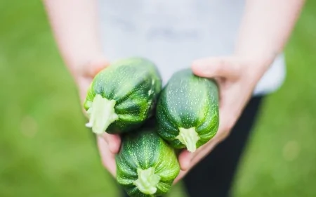 Agroalimentare: l'ultima relazione della Commissione Europea sulle esportazioni UE mostra un nuovo record nel 2025