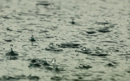 Risorse idriche: secondo i dati ISPRA le precepitazioni del 2025 risultano in calo rispetto al 2024