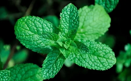 Università di Padova: il 27 marzo l'evento “La Chimica in Cucina tra scienza e tradizione”