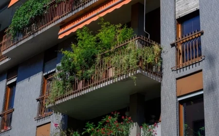 Comune di Milano: approvati dalla Giunta gli Indirizzi per la tutela del verde nel Municipio 8