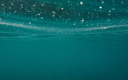 Mar Mediterraneo: nuove tecnologie identificano il "capodoglio pigmeo" grazie all'analisi del DNA ambientale