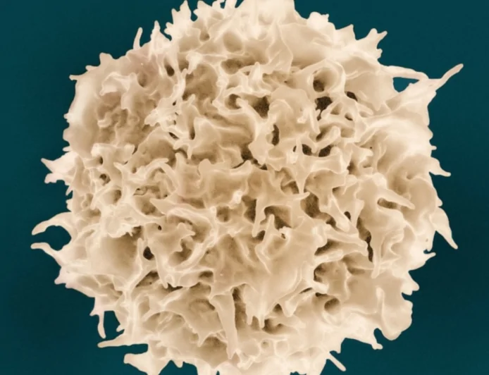 Accademia di Medicina di Torino: il 24 marzo la seduta scientifica "Il sistema immunitario: differenze di genere"