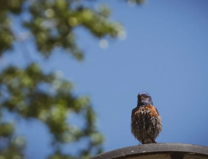 Milano, rigenerazione urbana: presentato al MIPIM di Cannes il progetto per lo sviluppo sostenibile di Piazza d'Armi