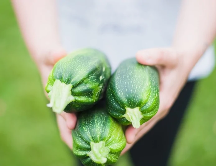 Agroalimentare: l'ultima relazione della Commissione Europea sulle esportazioni UE mostra un nuovo record nel 2025