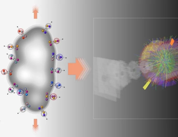 Fisica quantistica, CERN: osservata per la prima volta uno dei segnali della materia primordiale nelle collisioni tra protoni