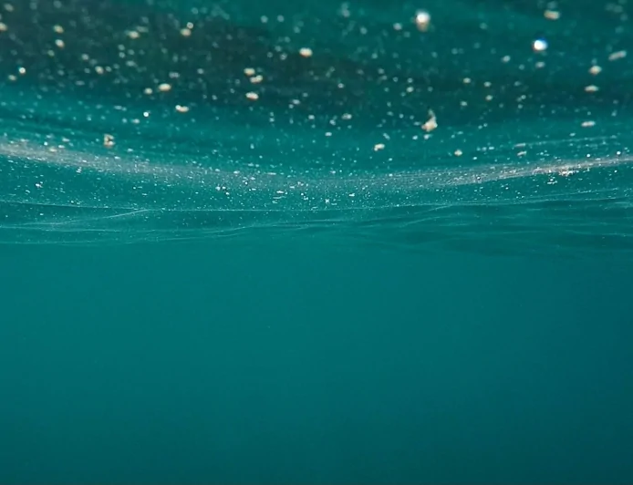 Mar Mediterraneo: nuove tecnologie identificano il "capodoglio pigmeo" grazie all'analisi del DNA ambientale