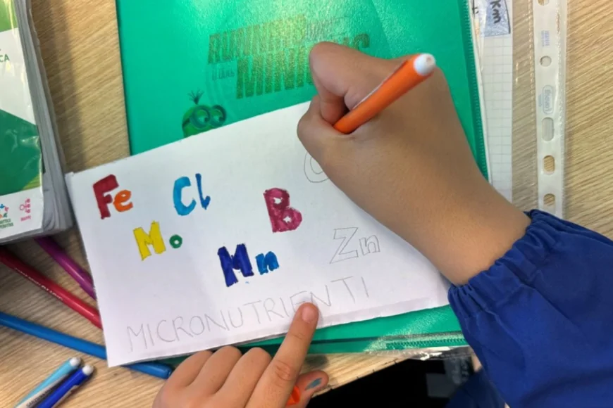 La scienza diventa gioco: laboratori per i più piccoli alla Fondazione Santa Capitanio di Piove di Sacco