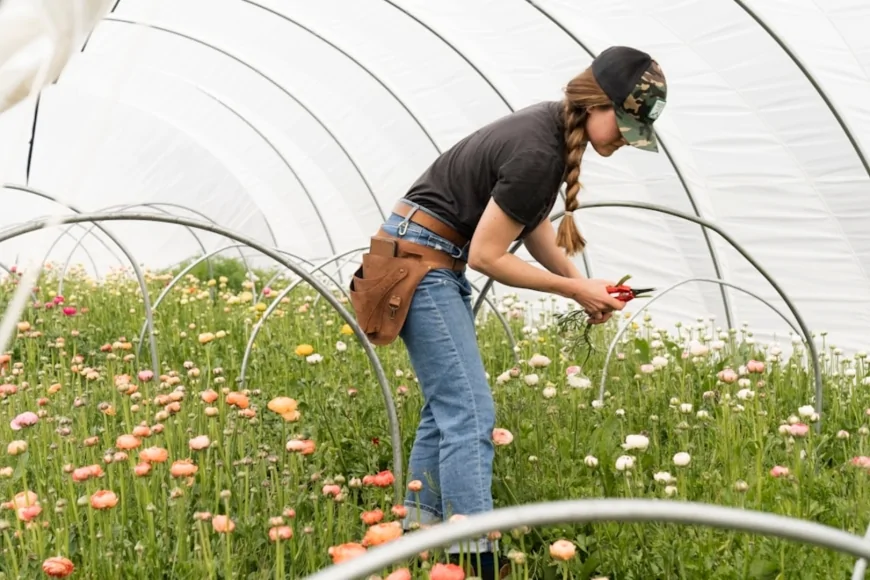La Commissione Europea lancia una piattaforma per rafforzare il ruolo delle donne in agricoltura