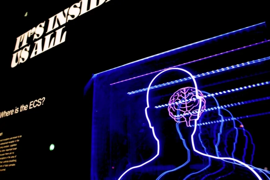 Neuroscienze, accendiamo il cervello: a Padova torna la Brain Awareness Week