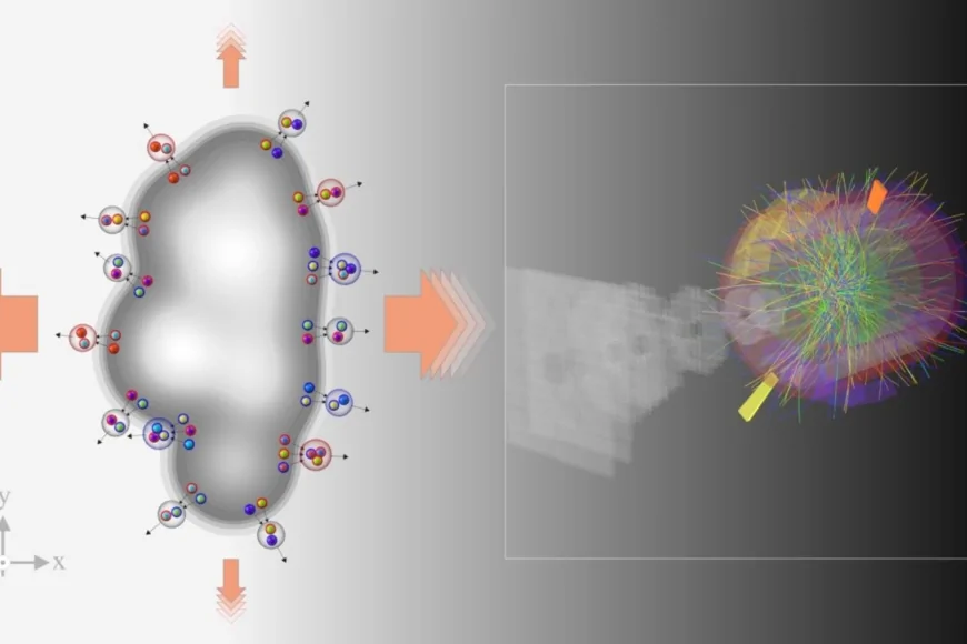Fisica quantistica, CERN: osservata per la prima volta uno dei segnali della materia primordiale nelle collisioni tra protoni