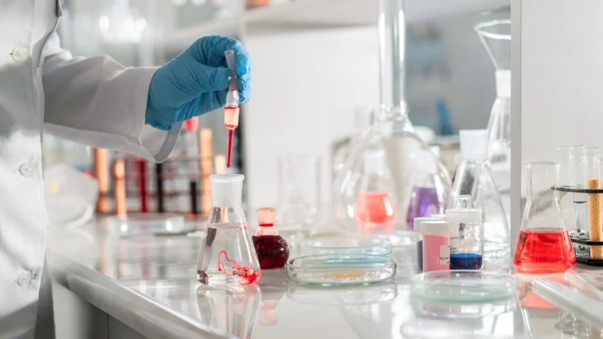 Big Science Forum 2026: ENEA supporta le imprese italiane