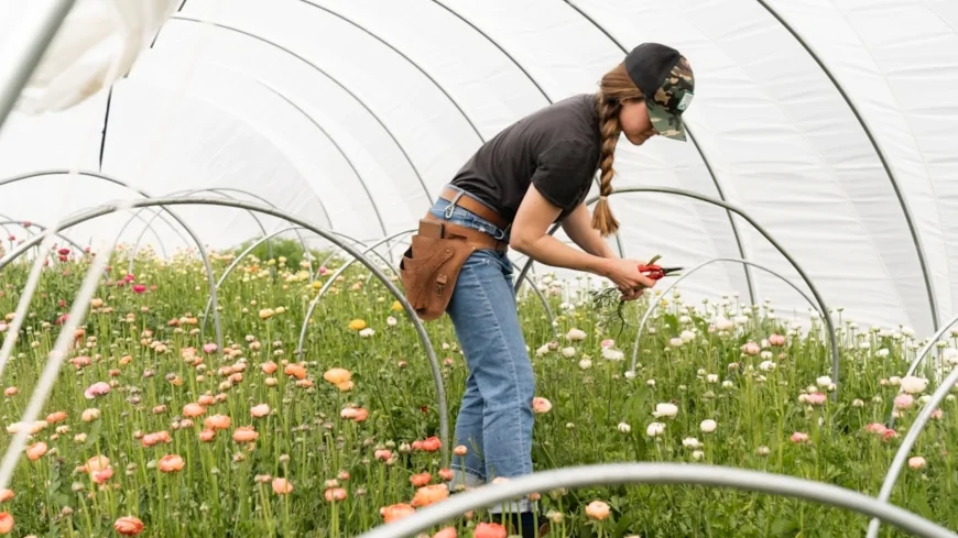 La Commissione Europea lancia una piattaforma per rafforzare il ruolo delle donne in agricoltura