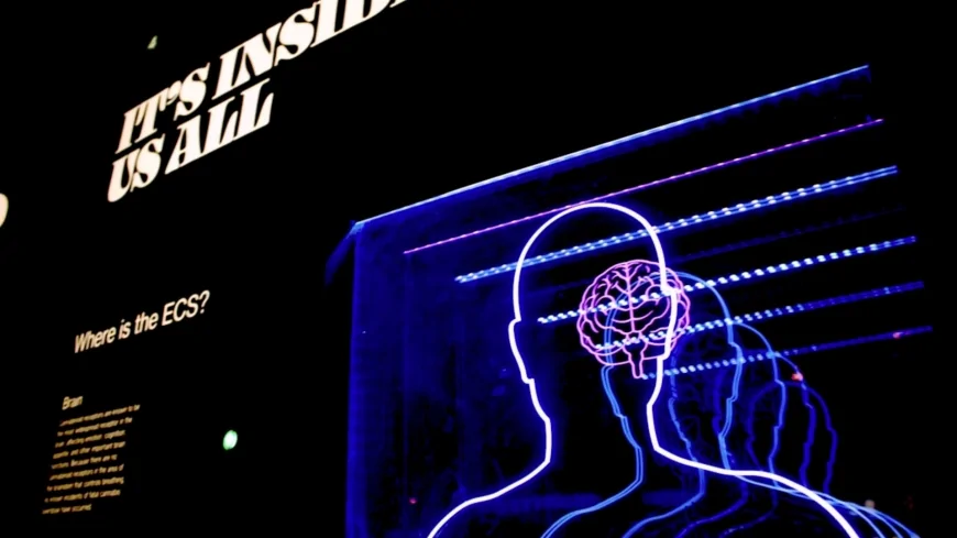 Neuroscienze, accendiamo il cervello: a Padova torna la Brain Awareness Week