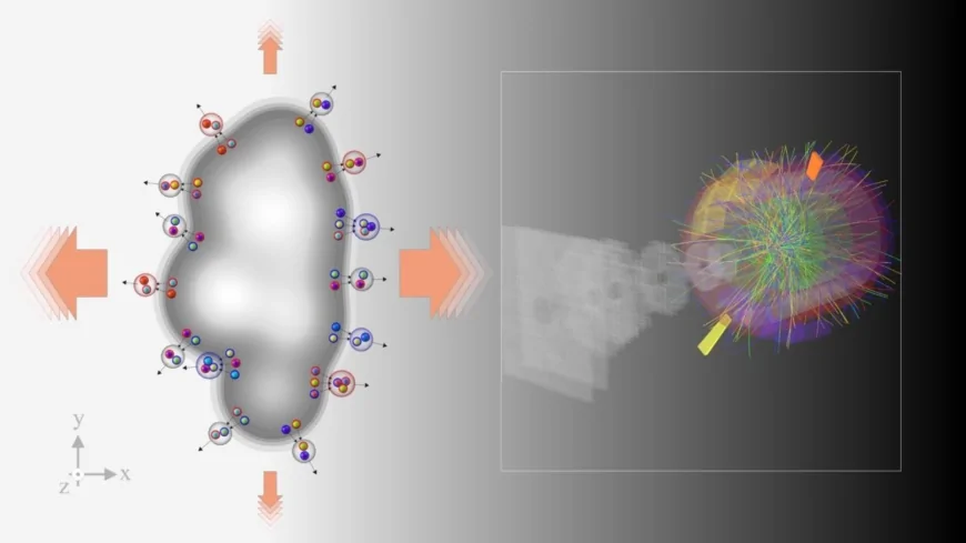 Fisica quantistica, CERN: osservata per la prima volta uno dei segnali della materia primordiale nelle collisioni tra protoni