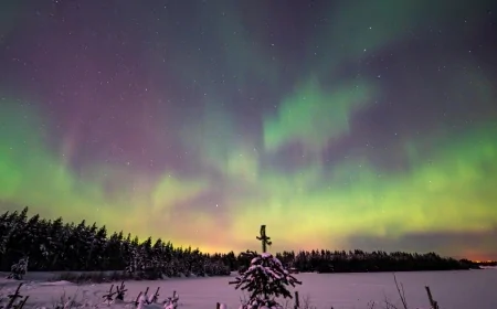 La fisica segreta delle aurore polari: un fenomeno naturale affascinante