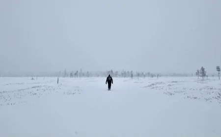 Antartide, come gli umani si adattano in ambienti estremi: uno studio che contribuisce all'esplorazione spaziale