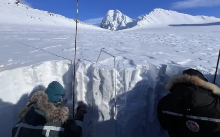 Arcipelago delle Svalbard: studiati nella neve artica i processi di formazione chimica del bromato
