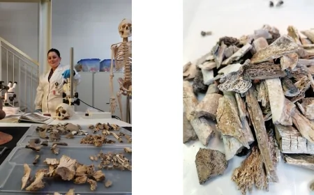 Bioarcheologia: uno studio sulle analisi delle cremazioni della necropoli romano-imperiale di La Cona