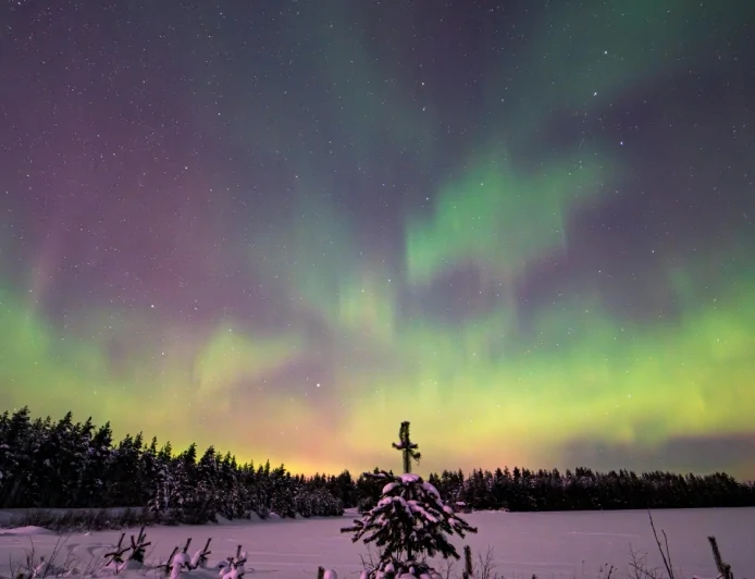 La fisica segreta delle aurore polari: un fenomeno naturale affascinante