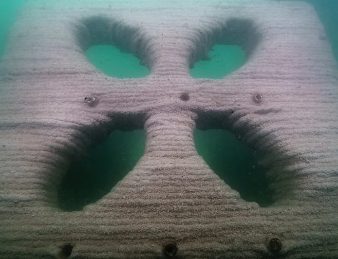 Liguria, progetto RAISE: realizzati 3 nuovi bio-reef stampati in 3D per favorire il ripopolamento dell'ostrica piatta