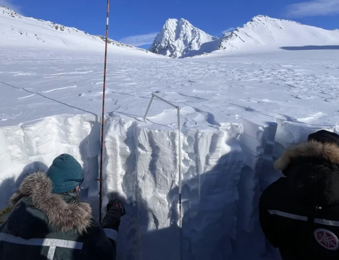 Arcipelago delle Svalbard: studiati nella neve artica i processi di formazione chimica del bromato