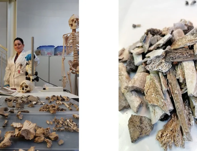 Bioarcheologia: uno studio sulle analisi delle cremazioni della necropoli romano-imperiale di La Cona