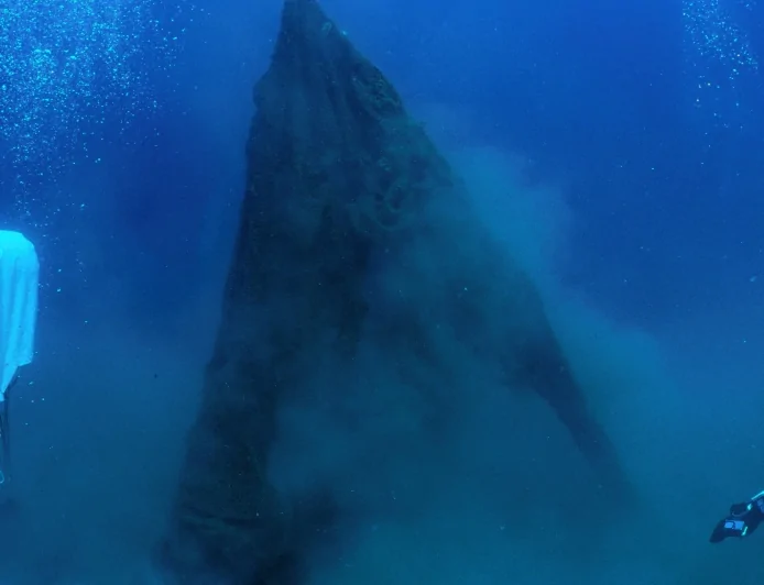 ISPRA: i risultati del progetto Strong SEA LIFE presentati nel documentario "The Phantom catch"