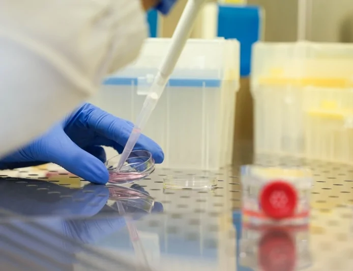 Università Milano-Bicocca: uno studio dimostra che la luce può essere un alleato contro le aritmie cardiache