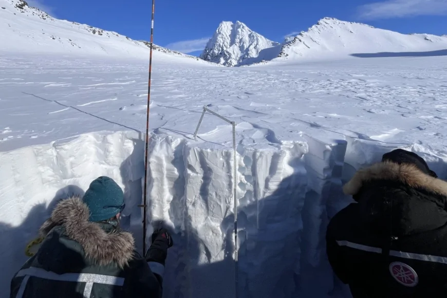 Arcipelago delle Svalbard: studiati nella neve artica i processi di formazione chimica del bromato