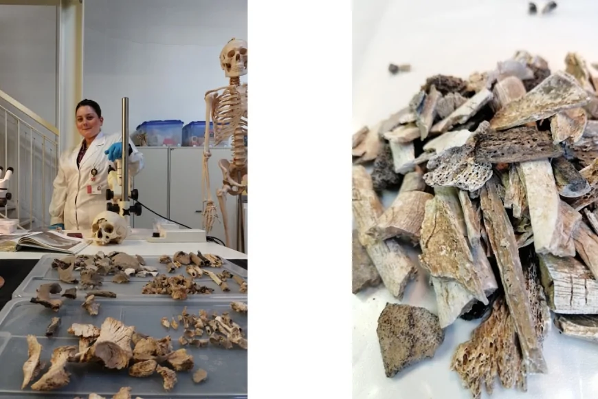 Bioarcheologia: uno studio sulle analisi delle cremazioni della necropoli romano-imperiale di La Cona