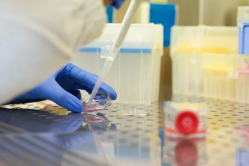 Università Milano-Bicocca: uno studio dimostra che la luce può essere un alleato contro le aritmie cardiache