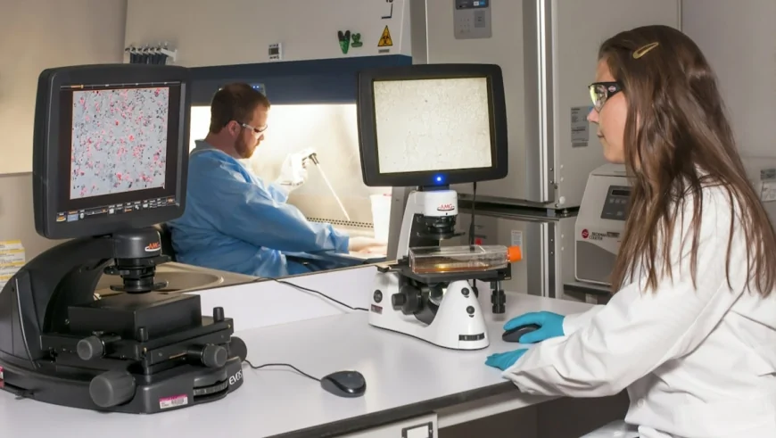 Tumore al seno: scoperto un meccanismo molecolare che frena la progressione del cancro