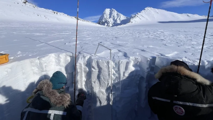 Arcipelago delle Svalbard: studiati nella neve artica i processi di formazione chimica del bromato