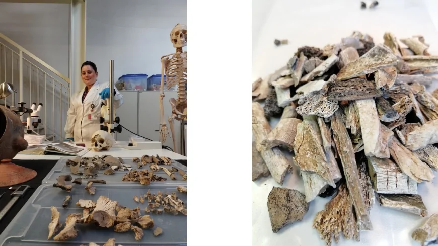 Bioarcheologia: uno studio sulle analisi delle cremazioni della necropoli romano-imperiale di La Cona