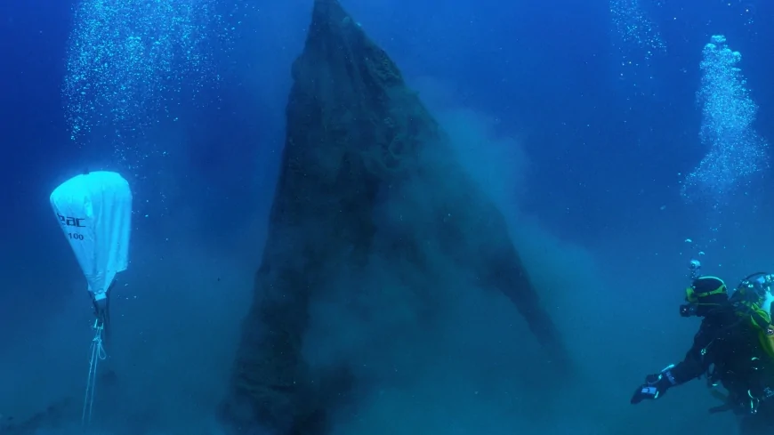 ISPRA: i risultati del progetto Strong SEA LIFE presentati nel documentario "The Phantom catch"