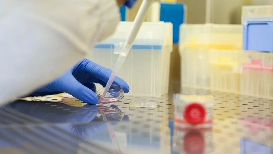 Università Milano-Bicocca: uno studio dimostra che la luce può essere un alleato contro le aritmie cardiache