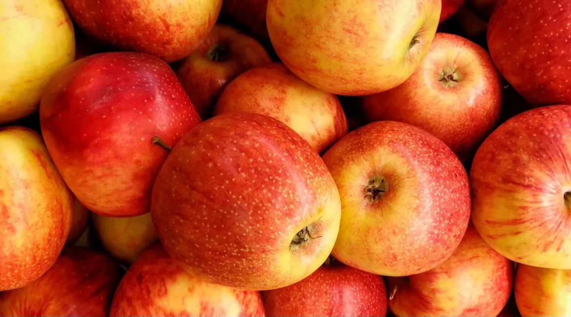 Agroalimentare: ENEA trasforma scarti di Mela Annurca Campana in prodotti ad alto valore aggiunto
