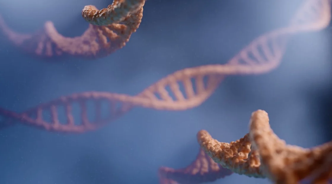 Biologia Cellulare: come le cellule riconoscono ed elaborano le informazioni genetiche contenute nell'RNA