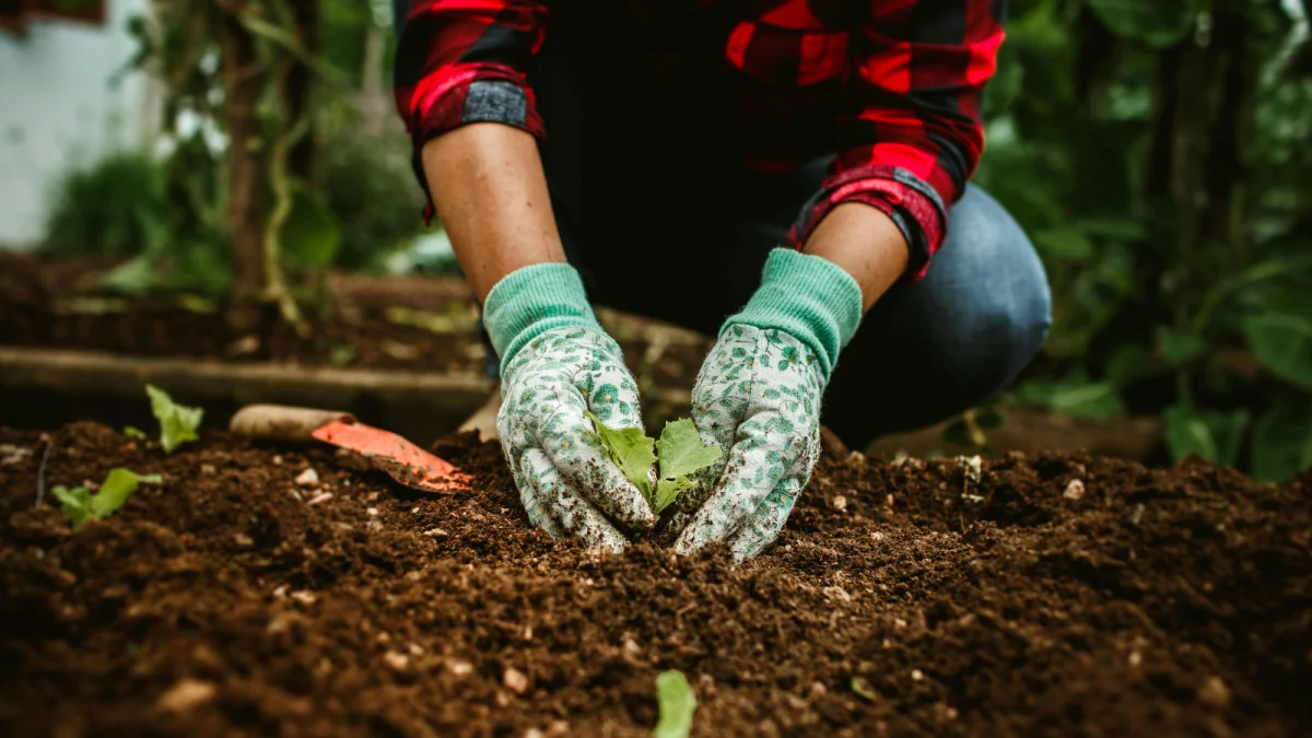 Consiglio nazionale delle ricerche e Università di Milano mettono a punto un metodo per distinguere plastiche e microplastiche nel compost 