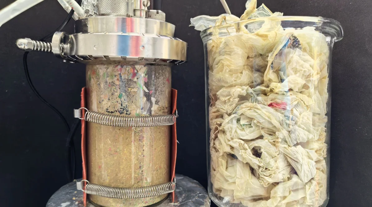 Bioplastiche nell'organico di casa: una risorsa per energia e fertilizzanti