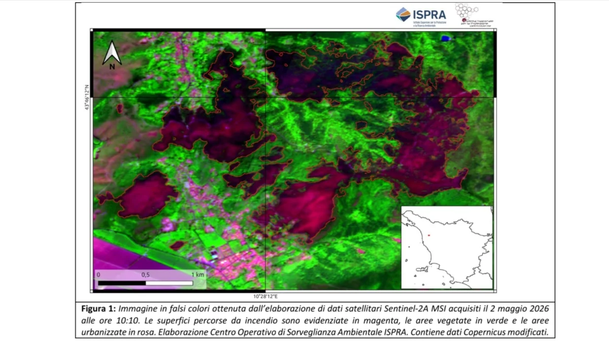Incendi in Italia: i primi dati ISPRA e gli impatti sugli ecosistemi boschivi