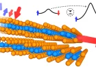 Materiali bidimensionali: un passo avanti nella comprensione della ferroelettricità