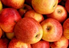 Agroalimentare: ENEA trasforma scarti di Mela Annurca Campana in prodotti ad alto valore aggiunto