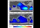 Terra e Oceani: evidenziati gli effetti della migrazione del polo di rotazione terrestre sui livelli del mare nell'Olocene