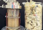 Bioplastiche nell'organico di casa: una risorsa per energia e fertilizzanti