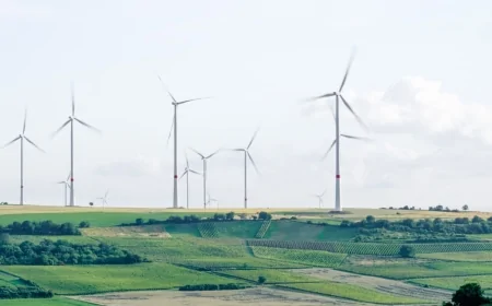 Prezzi dell'Energia: la Commissione Europea pubblica una serie di raccomandazioni per i consumatori più vulnerabili