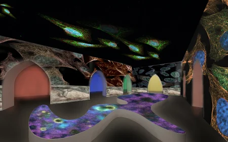 Università di Padova: dal 28 maggio la mostra "La Terra è blu come un'arancia, il mistero della ricerca"