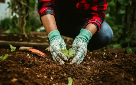 Consiglio nazionale delle ricerche e Università di Milano mettono a punto un metodo per distinguere plastiche e microplastiche nel compost 