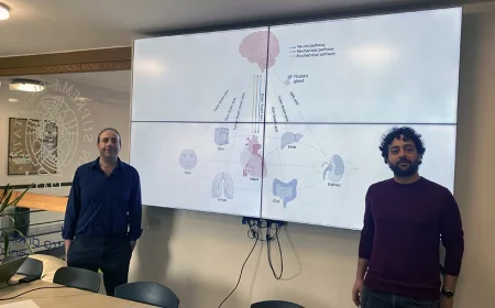 Il tempo "sospeso": uno studio su come la depressione "scollega" le emozioni dall'orologio interno